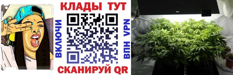 Что такое Приморско-Ахтарск APVP Конопля Меф мяу мяу ГАШ
